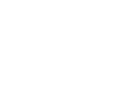 LAN Cable Lock Plus