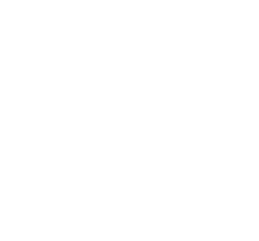 Secure LAN Cable Coupler