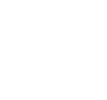Network Module Lock 8P