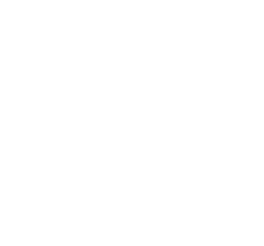 QSFP Port Lock