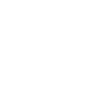DVI Port Lock