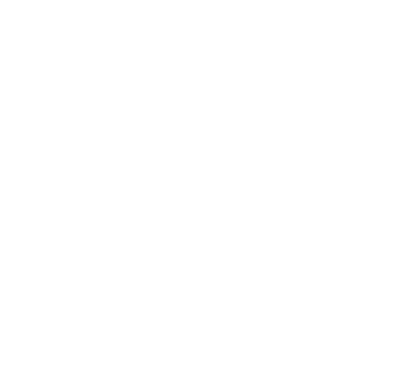 Parallel Port Lock