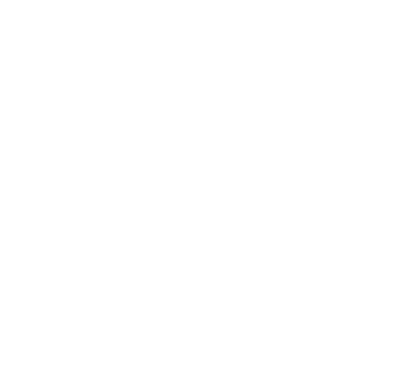 C-Type Link lock